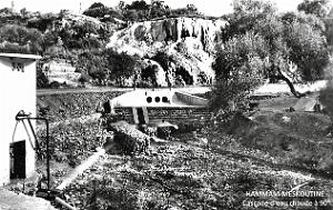 Hammam-Meskoutine - Cascade d'eau chaude a 90-
